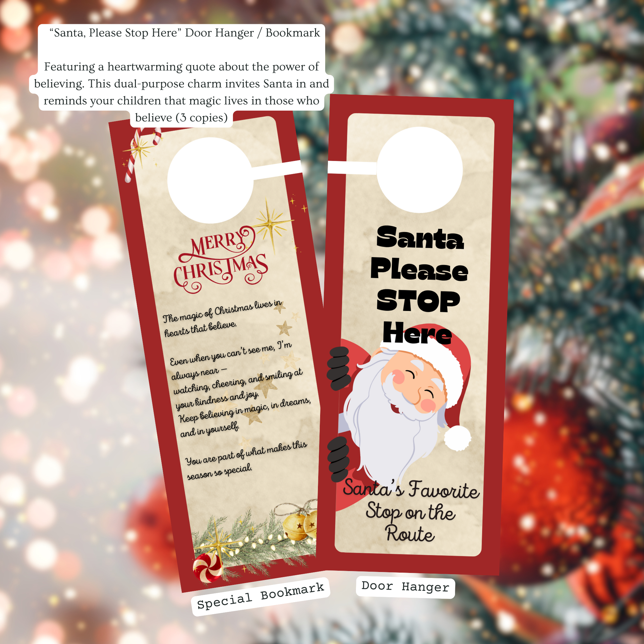 Santa’s Magical Letter Package - For 2 Very Special Children